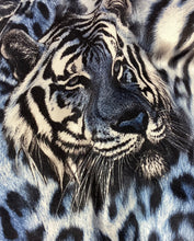 Load image into Gallery viewer, Leggings S-XXL