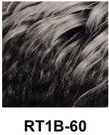 Load image into Gallery viewer, Anika Wig